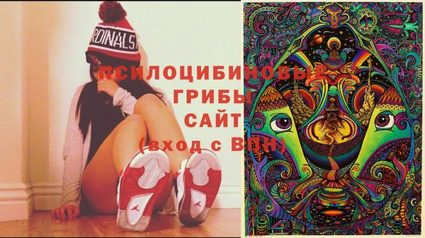 винт Абинск